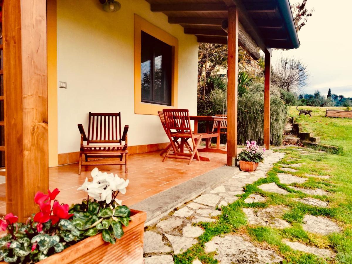 La Casa Nettarina Pension Poggio Mirteto Buitenkant foto